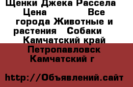 Щенки Джека Рассела › Цена ­ 10 000 - Все города Животные и растения » Собаки   . Камчатский край,Петропавловск-Камчатский г.